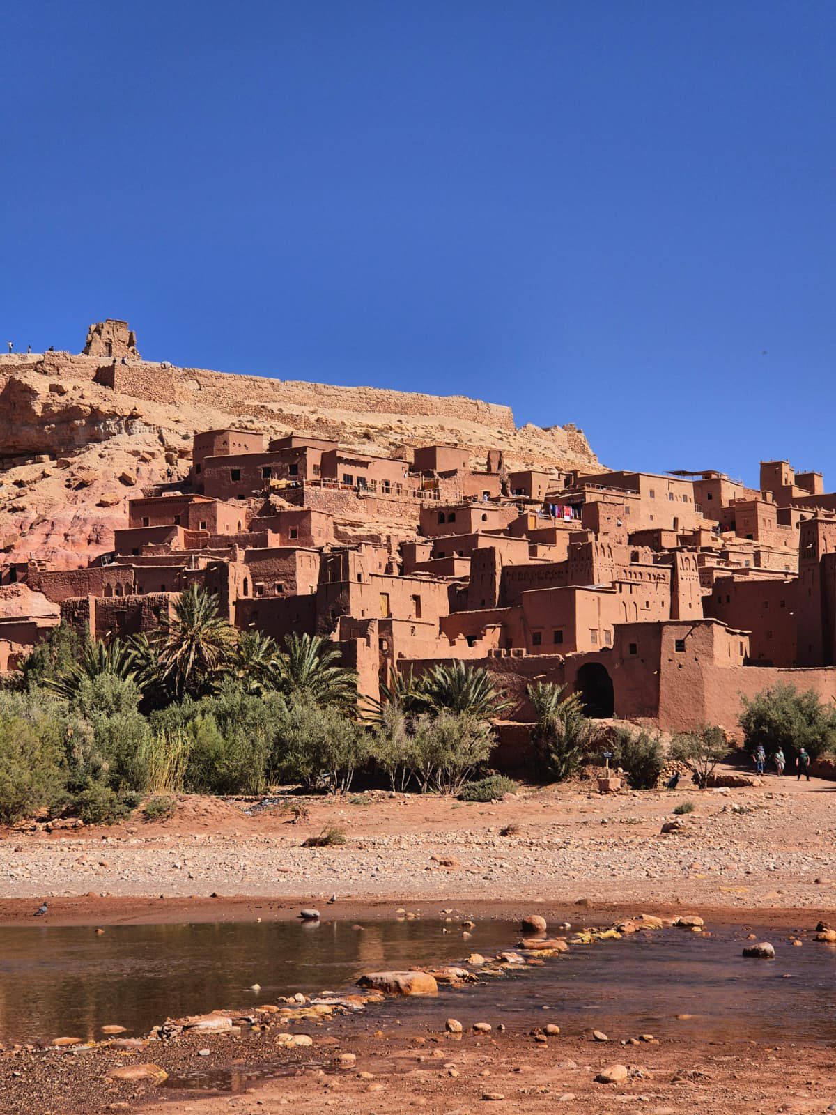 A Journey Beyond Roads, Into the Heart of the Sahara Discover it now