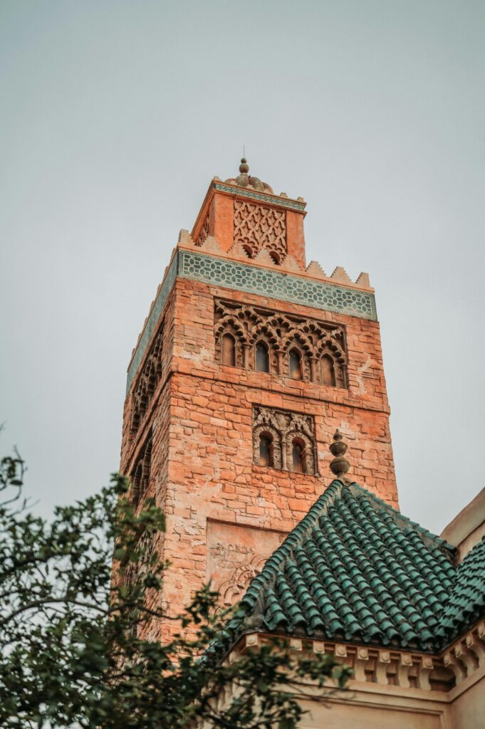 pexels davidguerrero 13689103